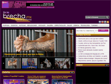 Tablet Screenshot of enlabrecha.mx